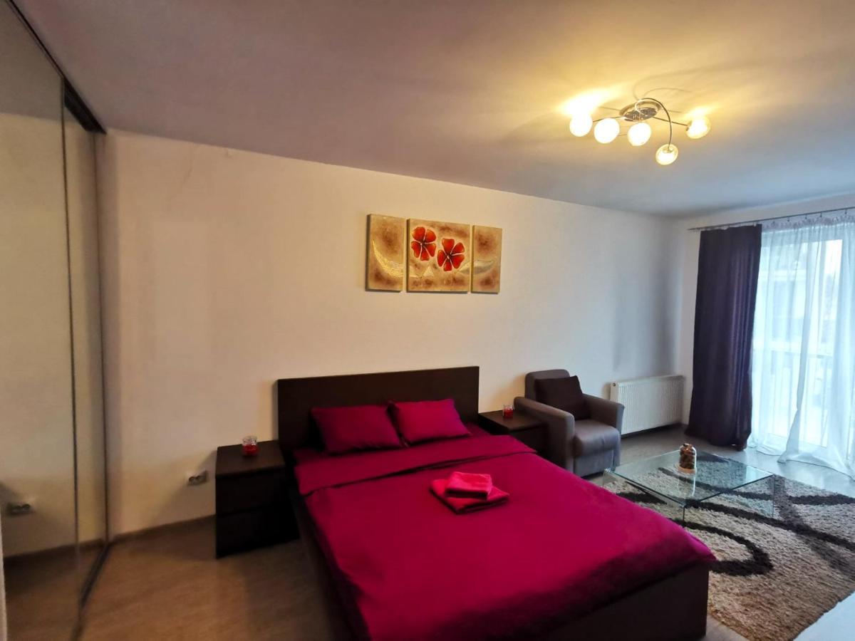 Contemporary Central Apartment In Cluj Napoca Exteriér fotografie